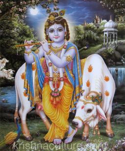 Krishna with Cow at Night Canvas Art 10 X 12"